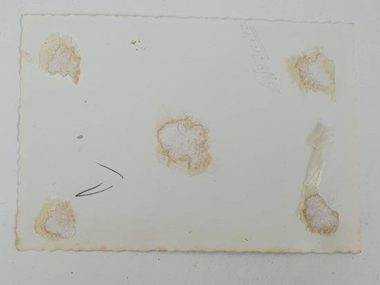 a german great picture — image 5