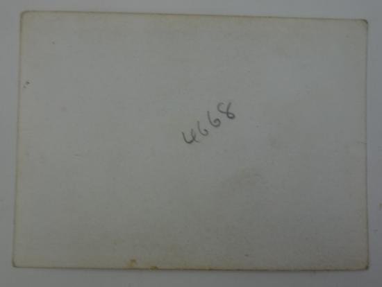 a german Waffen-ss portrait — image 3