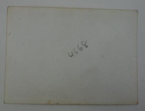 a german Waffen-ss portrait — image 4