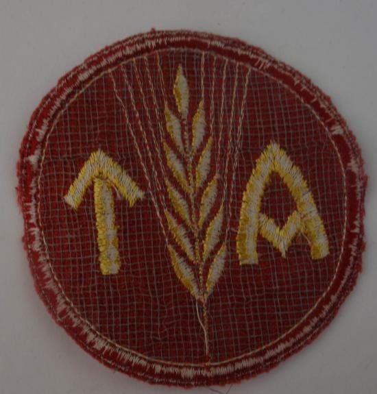 ww2 norwegian reichsarbeitsdienst for a woman insignia — image 3