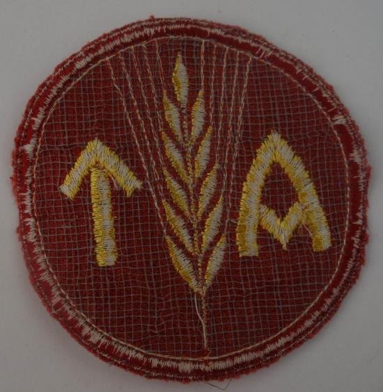 ww2 norwegian reichsarbeitsdienst for a woman insignia — image 4