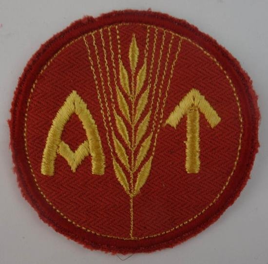 ww2 norwegian reichsarbeitsdienst for a woman insignia — image 5