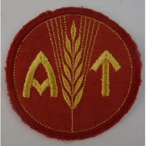 ww2 norwegian reichsarbeitsdienst for a woman insignia