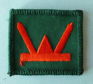 160 (Wales) Brigade Shoulder-flash / TRF.