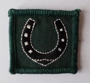 Army 39th Infantry Brigade Shoulder-flash / TRF.