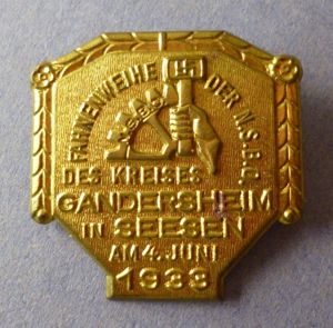 Third Reich : Rally badge for the Consecration of the …