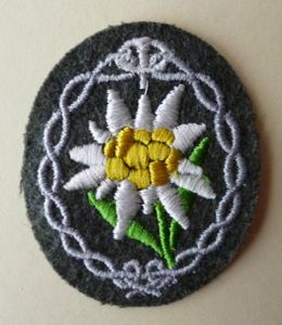 Third Reich : Wehrmacht / Heer (Army) Mountain-troops (‎Gebirgsjäger) Edelweiss …