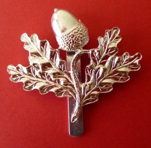 Cap-badge of the 307 (South Nottinghamshire Hussars Yeomanry Royal Horse …