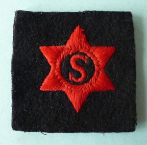Royal Navy Steward's Star Armbadge.