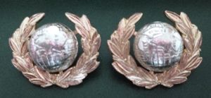Royal Marines Pair of Staybrite Collar-badges.