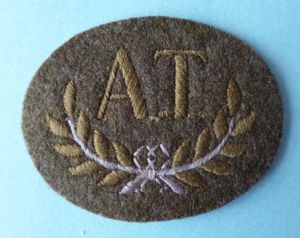 Guards Division Qualified anti-tank 'A.T' Armbadge.