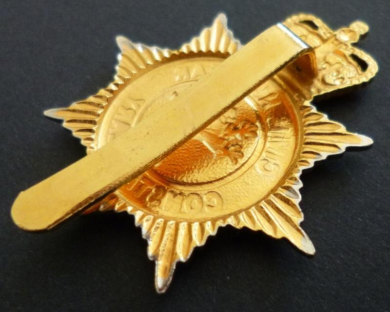 Civil Nuclear Constabulary Cap-badge. — image 3