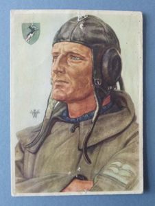Third Reich : Willrich Postcard of a Stukaflieger.