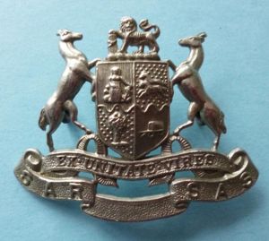 South Africa : Old South African Railways White-metal Officials Cap-badge.