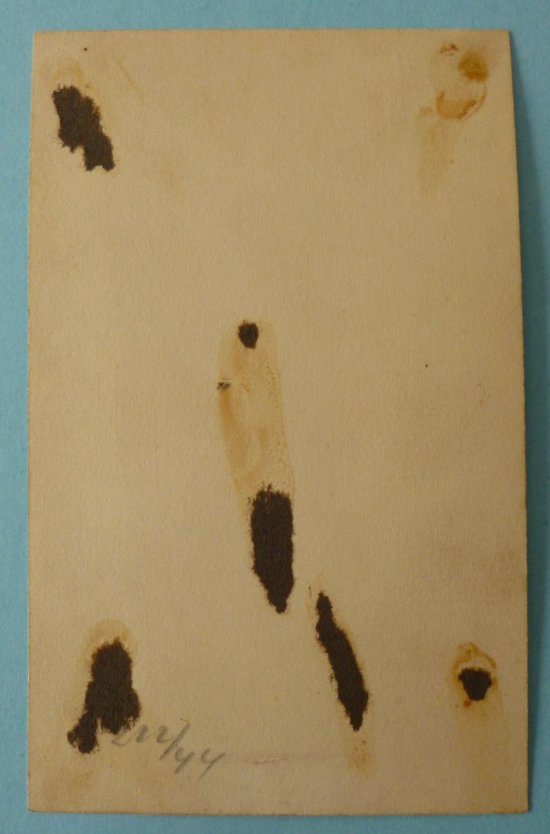 Third Reich : Postcard-sized Portrait Photo of an Army (Heer) Member of an Assault-gun Unit. — image 3