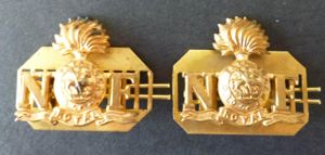 Royal Northumberland Fusiliers Pair of Gilding-metal Shoulder-titles.