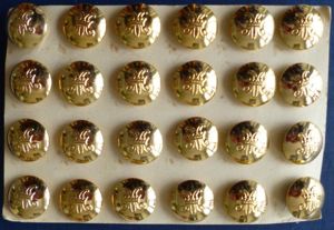 Women's Royal Army Corps Set of 24 Staybrite Buttons, 17mm …