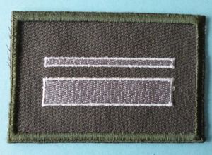 East German (DDR) : NVA Rank-patch for an Unterfeldwebel.