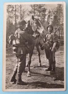 Third Reich : Postcard from the 'Unsere Waffen-SS' Series -'Gute …