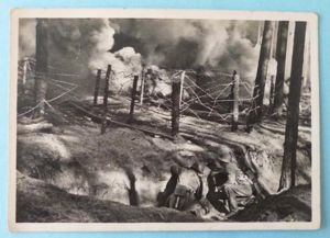 Third Reich : Postcard from the 'Unsere Waffen-SS' Series - …