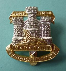 Devonshire & Dorset Regiment Staybrite Cap-badge.