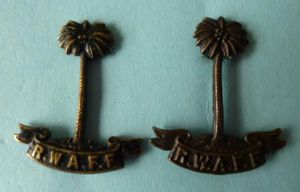 Royal West African Frontier Force Pair of Bronze Officers' Service-dress …