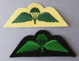 Two Army Regimental Variations of the Parachute Wings.