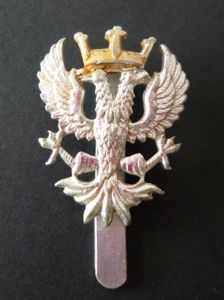 Mercian Regiment Staybrite Cap-badge.