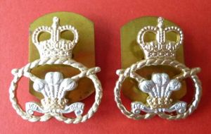 Staffordshire Regiment Pair of Staybrite O-ranks' Collar-badges.