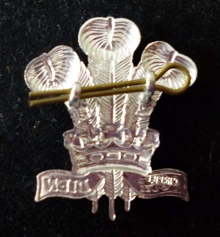 Royal Regiment of Wales (24th/41st Foot) Cap-badge. — image 2
