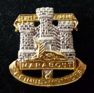 Devonshire & Dorset Regiment Staybrite Cap-badge.