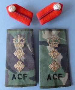 Matched Pair of Army Staff Officer's Clip-on Gorget Patches together …