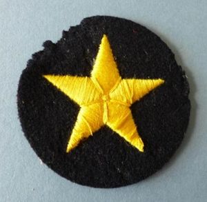 Third Reich : Kriegsmarine Seaman's Machine-embroidered Career Armbadge.