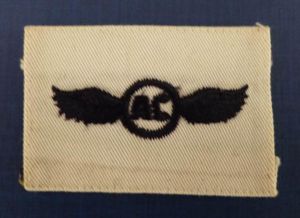 USA : US Naval Aircrew Wings Insignia for the Summer …