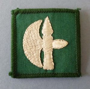 102 Logistic Brigade TRF / Shoulder Flash.