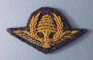Lebanon : Lebanese Air Force Officer's Cap Badge.