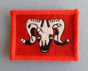 1st Artillery Brigade Shoulder Flash (TRF).