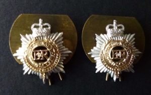 Pair of Royal Corps of Transport (Queen's crown) Staybrite Collar …