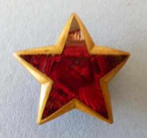 Yugoslavia : Army Enameled Screw-back Cap Star.