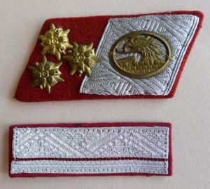 Austria : National Police & Security Collar-patch for a Gruppeninspektor …