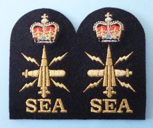 Royal Navy Pair of Chief Petty Officer Warfare Branch SEA …