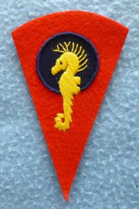 The Royal Marines Training Centre Shoulder-flash.