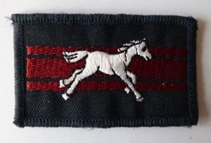 1st Field Sqn., 21 Engineer Regt. Royal Engineers Formation-badge / …