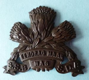 South Africa : SSB / SDB Special Service Battalion Bronze …