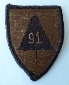 USA : Army 91st Infantry Training Brigade Shoulder-flash - Subdued …