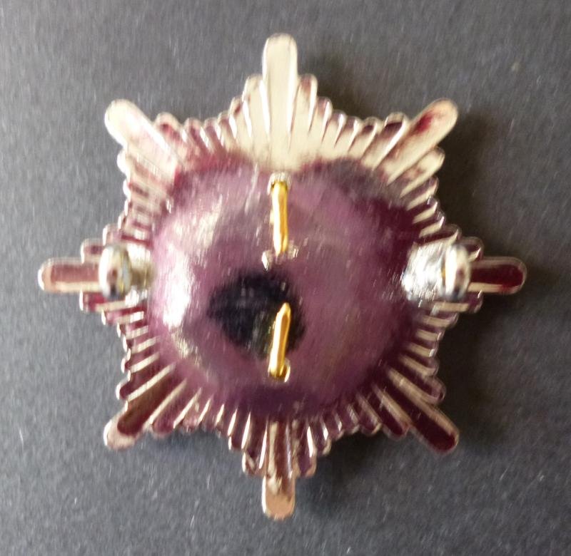 Leicestershire & Rutland Fire Service Cap-badge. — image 2