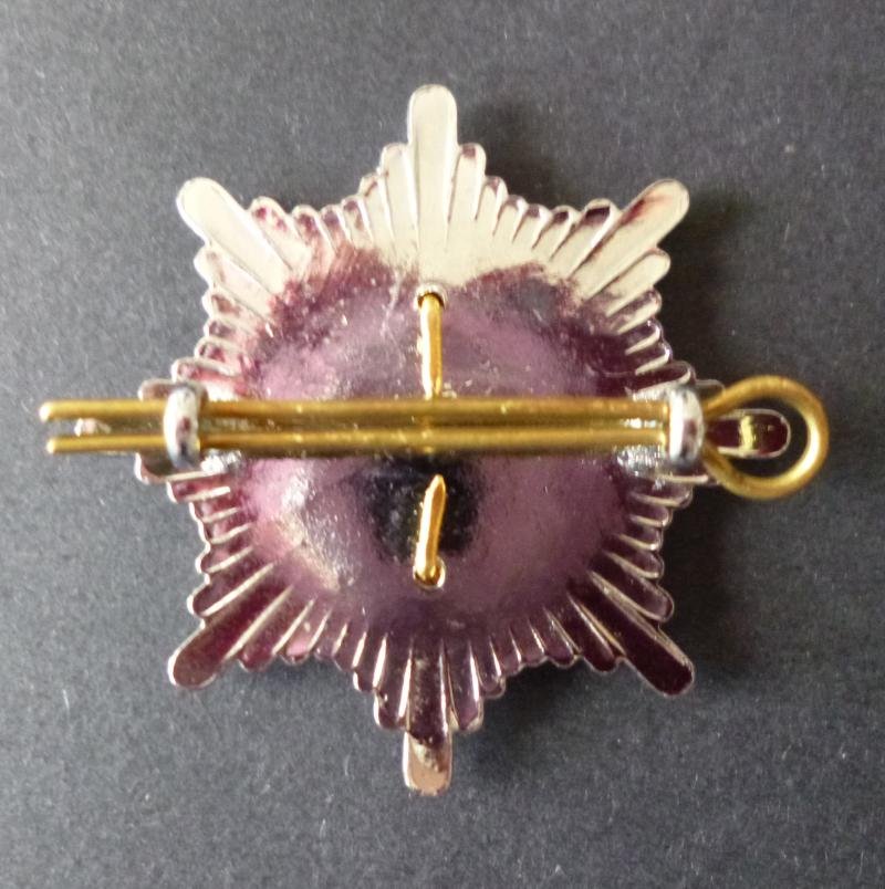 Leicestershire & Rutland Fire Service Cap-badge. — image 3