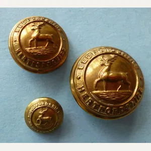 Three Bedfordshire & Hertfordshire Regimental Brass Buttons.