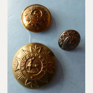 Three Bedfordshire Regimental Brass Buttons.