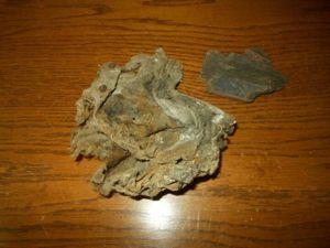 WW II German Air Force Aircraft – COCKPIT & FUSELAGE …